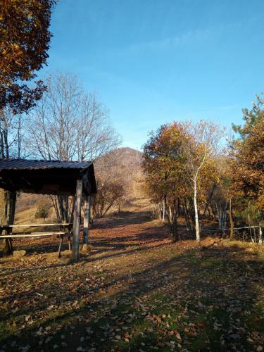 Sentiero per il Monte Bernard