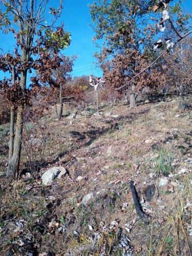 Sentiero per il Monte Bernard