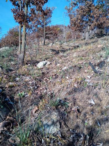 Sentiero per il Monte Bernard