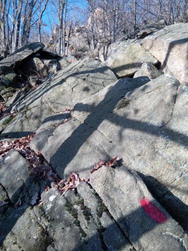 Sentiero per il Monte Bernard