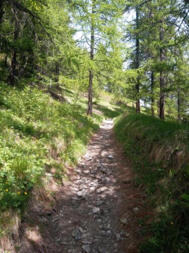 Madonna-del-Cotolivier-da-Oulx-10