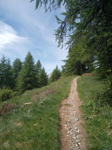 Madonna-del-Cotolivier-da-Oulx-12