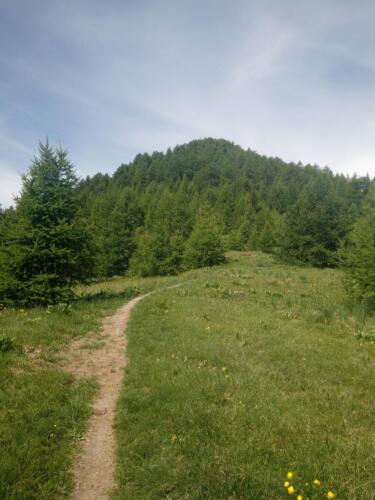 Madonna-del-Cotolivier-da-Oulx-13