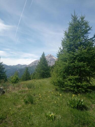 Madonna-del-Cotolivier-da-Oulx-14