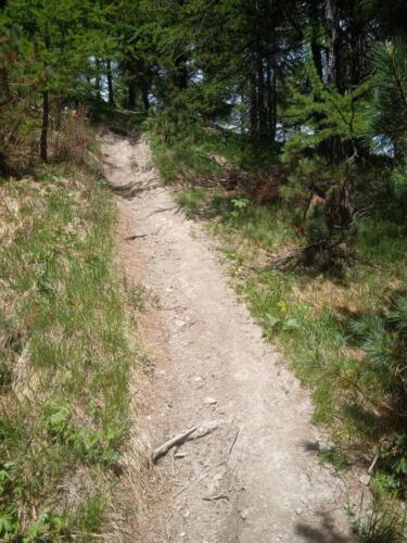 Madonna-del-Cotolivier-da-Oulx-15