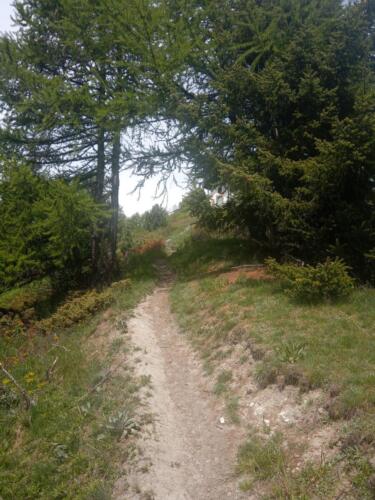 Madonna-del-Cotolivier-da-Oulx-16