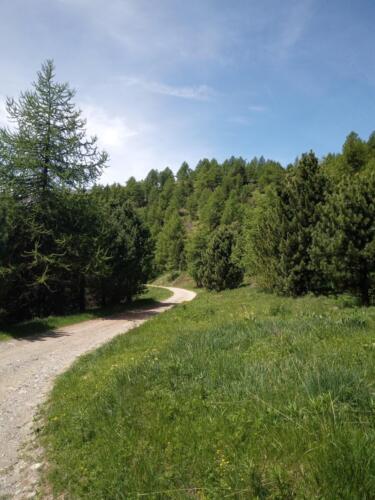 Madonna-del-Cotolivier-da-Oulx-23