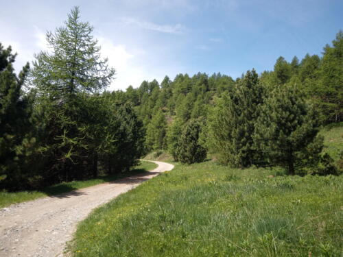 Madonna-del-Cotolivier-da-Oulx-24