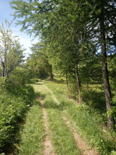 Madonna-del-Cotolivier-da-Oulx-7