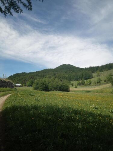 Madonna-del-Cotolivier-da-Oulx-9