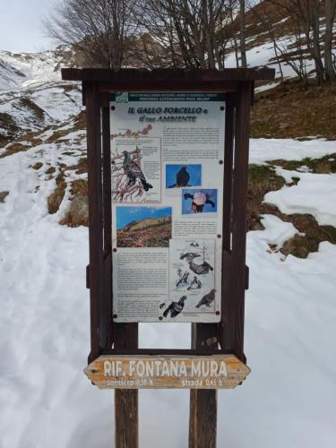 Sentiero per il Rifugio Fontana Mura in Val Sangone